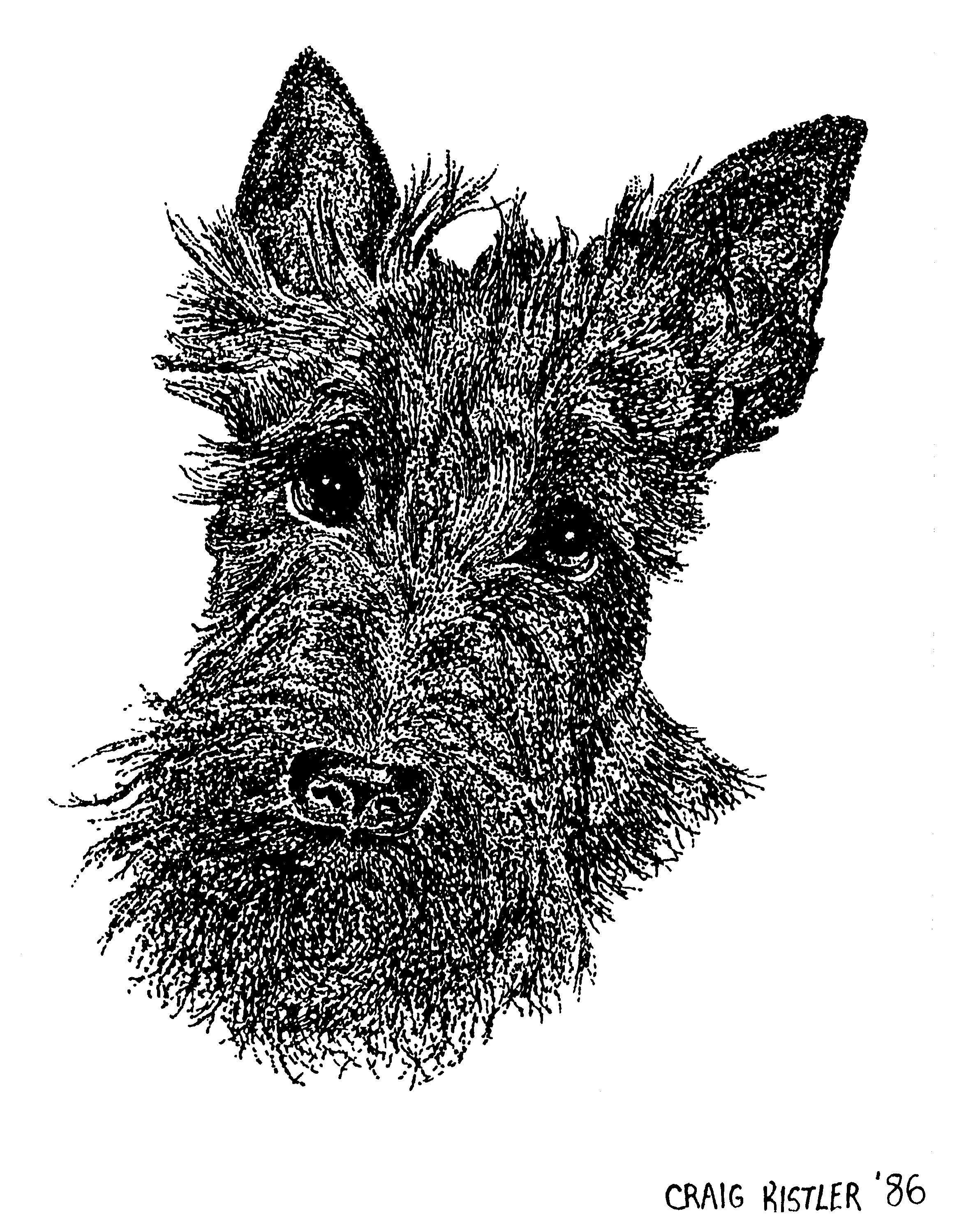 SCOTTY_CRAIGKISTLER_1986_PENINK_POINTILSM (218K)