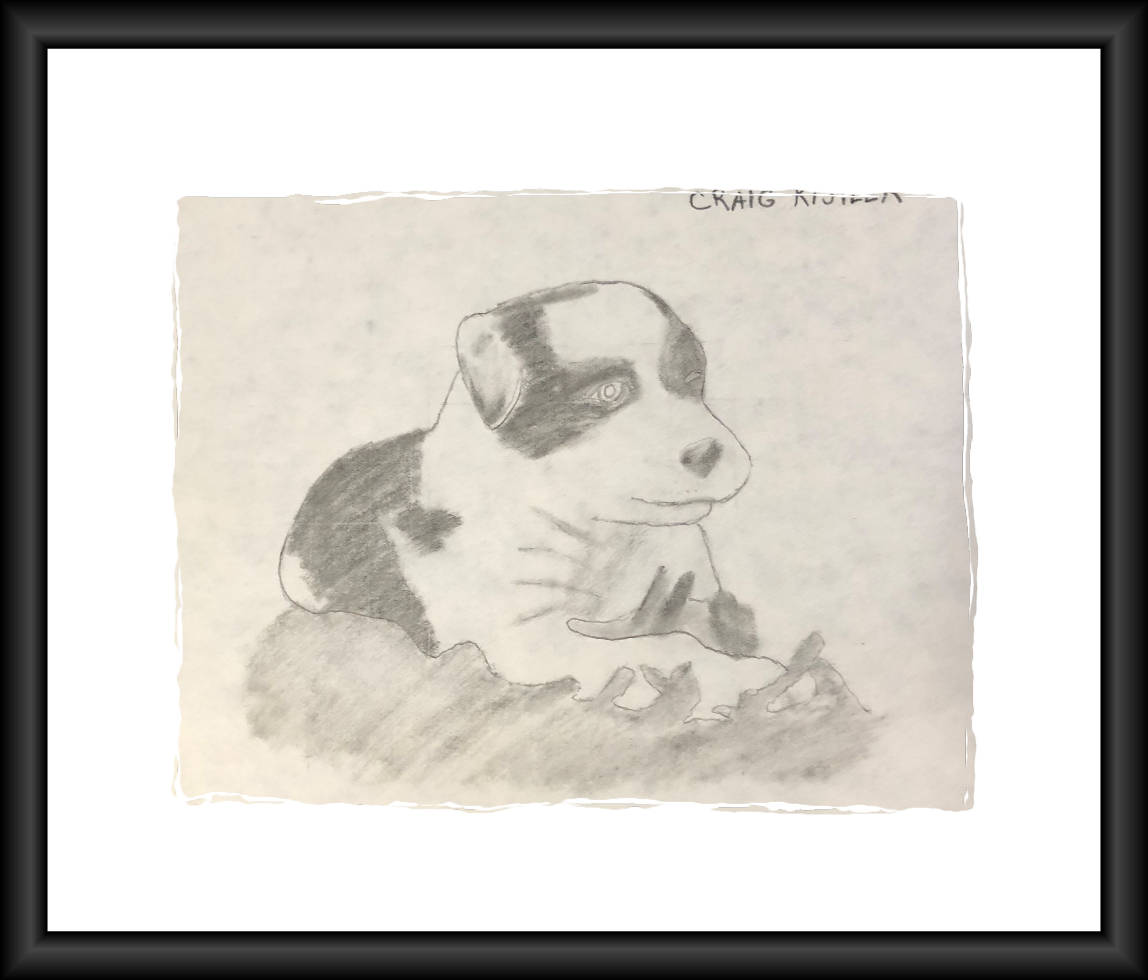 puppy_charcoal_1984 (709K)